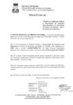 Projeto de lei pdf
